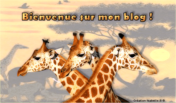 Bienvenue sur mon blog