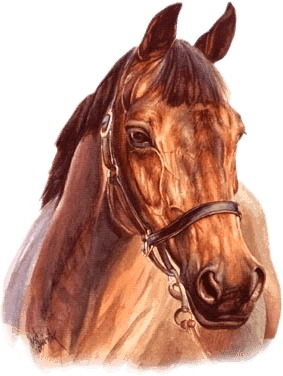 Cheval